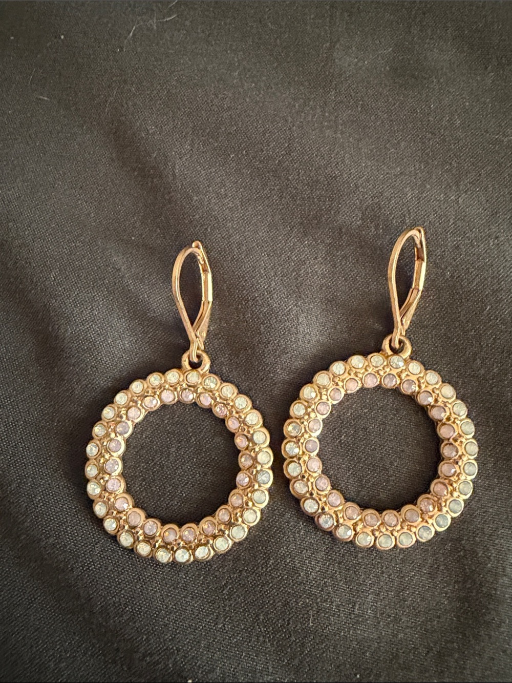 Francesca's Collections Gold Crystal Open Circle Drop Earrings